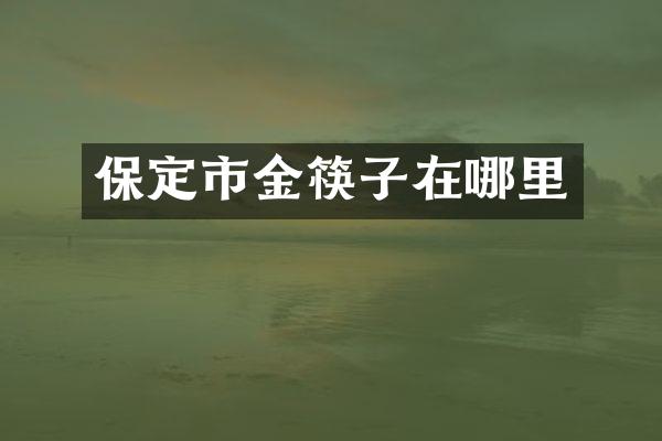 保定市金筷子在哪里