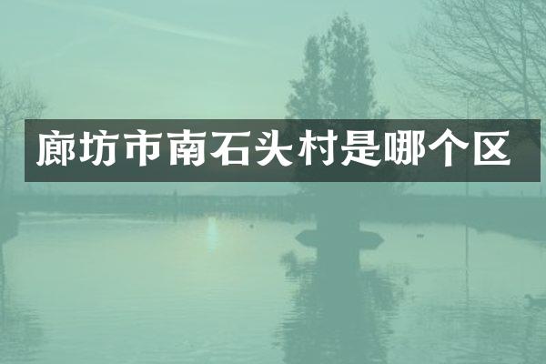 廊坊市南石头村是哪个区
