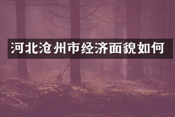 河北沧州市经济面貌如何