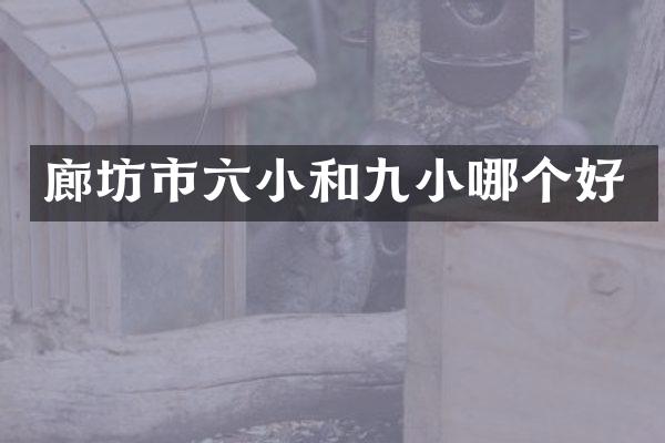 廊坊市六小和九小哪个好