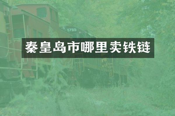 秦皇岛市哪里卖铁链