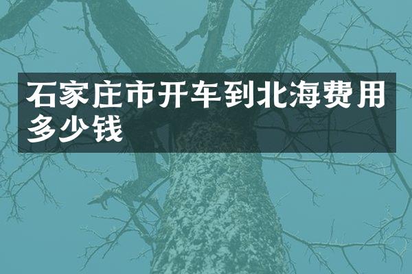 石家庄市开车到北海费用多少钱