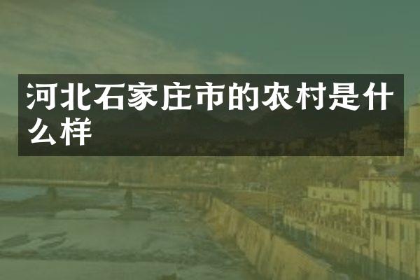 河北石家庄市的农村是什么样