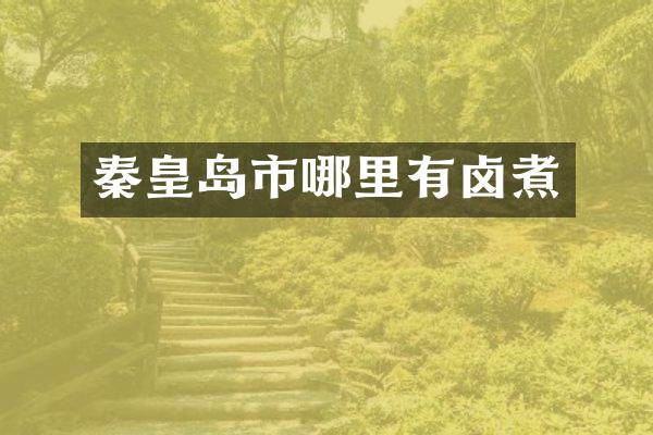 秦皇岛市哪里有卤煮