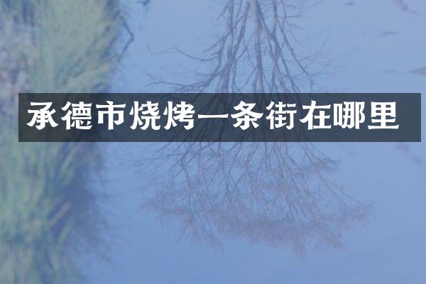承德市烧烤一条街在哪里