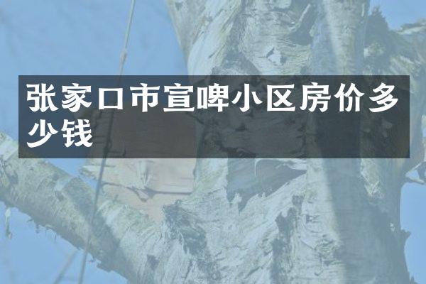 张家口市宣啤小区房价多少钱