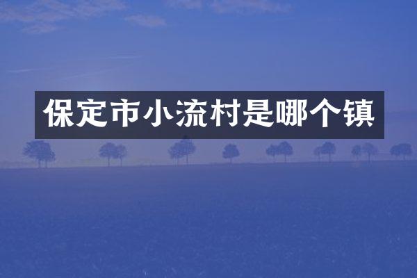 保定市小流村是哪个镇