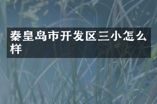 秦皇岛市开发区三小怎么样