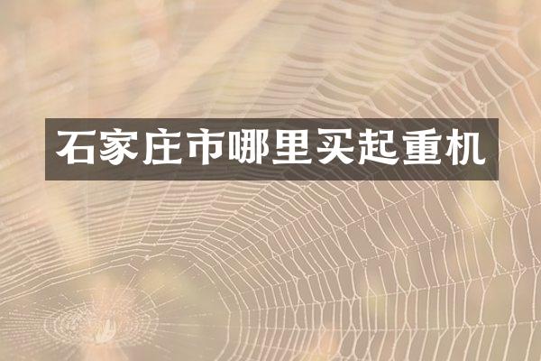 石家庄市哪里买起重机