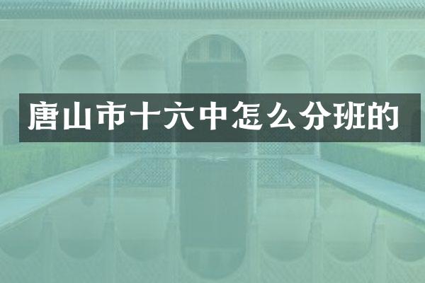 唐山市十六中怎么分班的