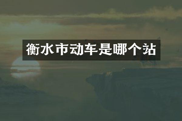 衡水市动车是哪个站