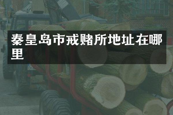 秦皇岛市戒赌所地址在哪里