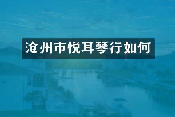 沧州市悦耳琴行如何