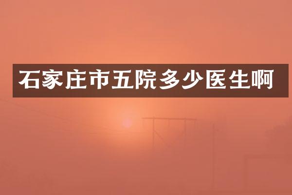 石家庄市五院多少医生啊