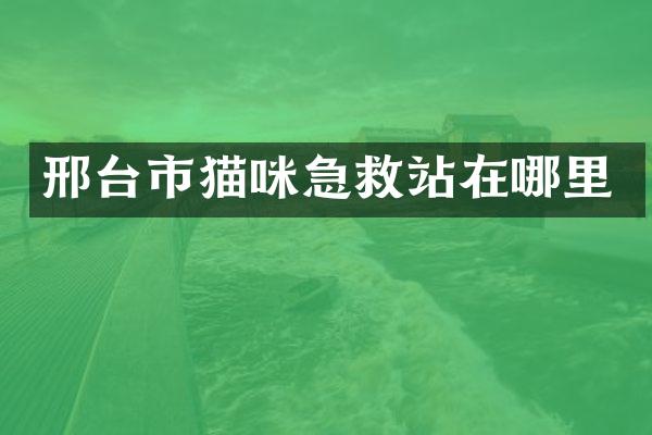 邢台市猫咪急救站在哪里