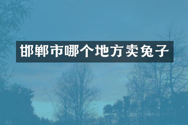 邯郸市哪个地方卖兔子