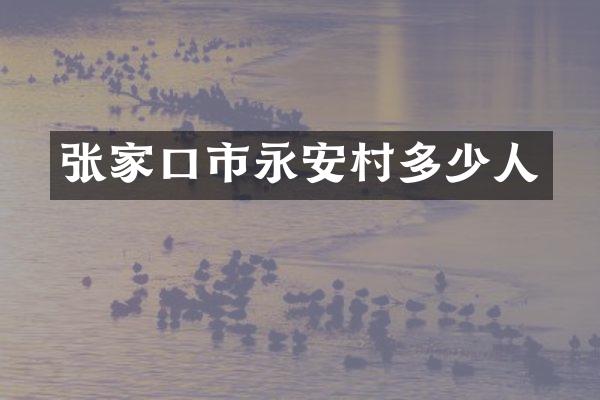 张家口市永安村多少人