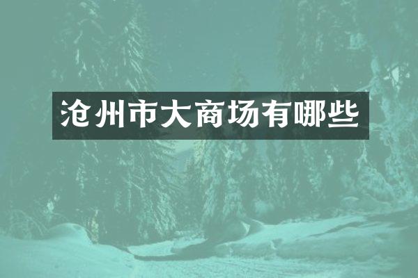 沧州市大商场有哪些