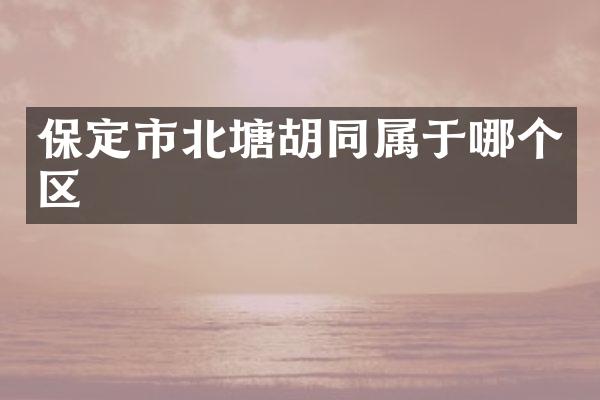 保定市北塘胡同属于哪个区