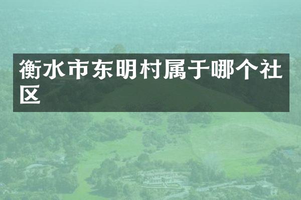 衡水市东明村属于哪个社区