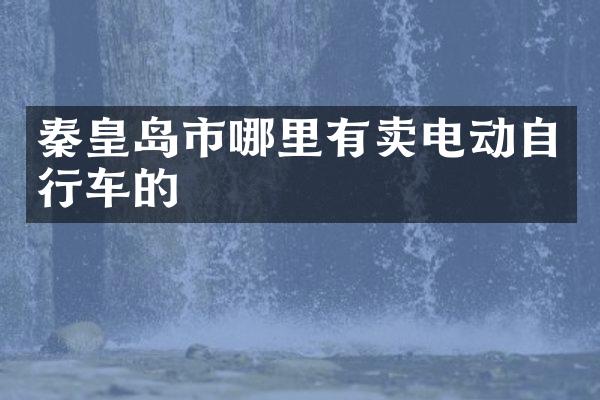 秦皇岛市哪里有卖电动自行车的