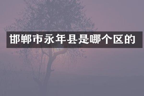 邯郸市永年县是哪个区的