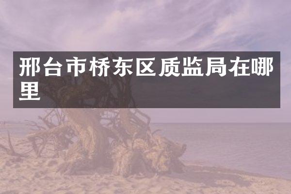 邢台市桥东区质监局在哪里