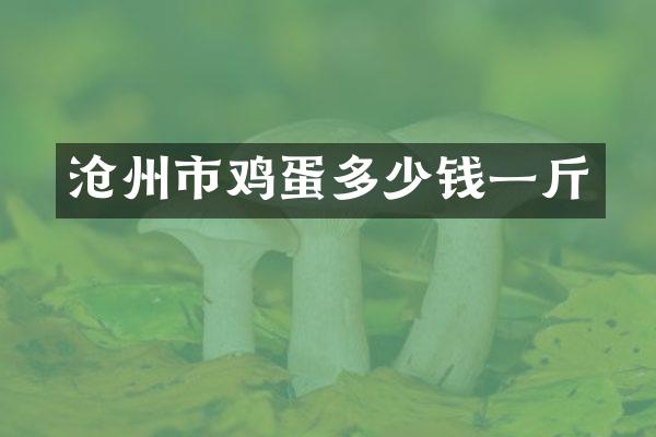 沧州市鸡蛋多少钱一斤