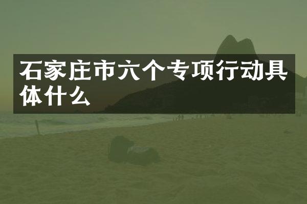 石家庄市六个专项行动具体什么