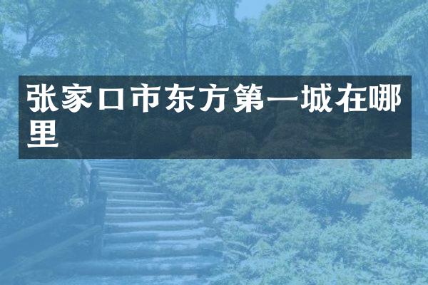 张家口市东方第一城在哪里