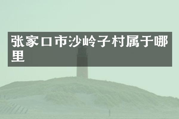 张家口市沙岭子村属于哪里