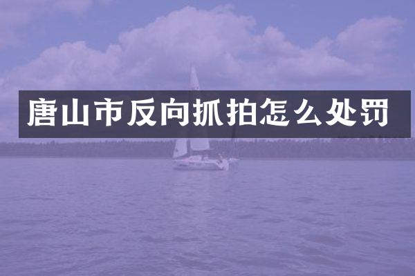 唐山市反向抓拍怎么处罚