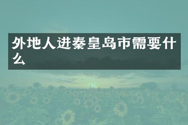 外地人进秦皇岛市需要什么