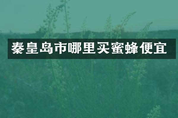 秦皇岛市哪里买蜜蜂便宜