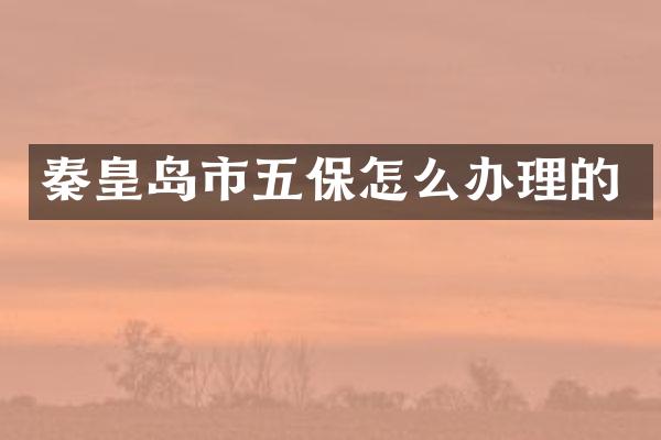 秦皇岛市五保怎么办理的