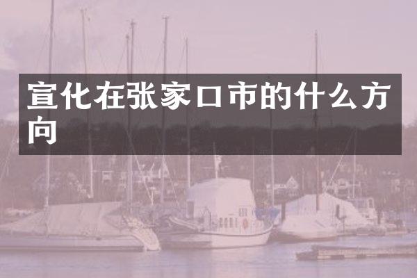 宣化在张家口市的什么方向