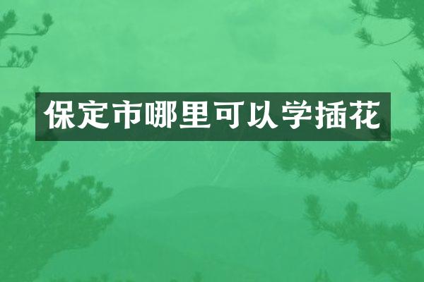 保定市哪里可以学插花