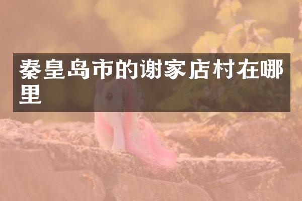 秦皇岛市的谢家店村在哪里