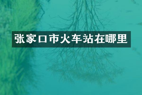 张家口市火车站在哪里