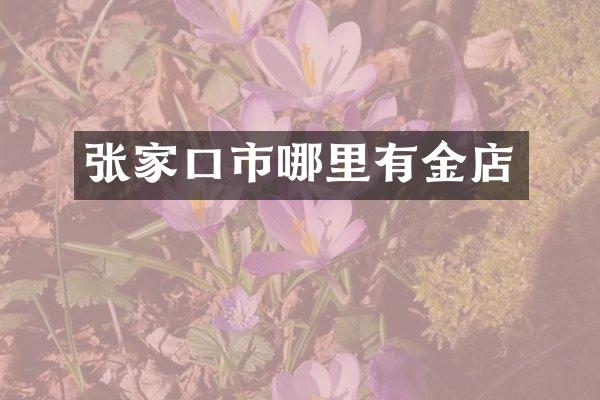 张家口市哪里有金店