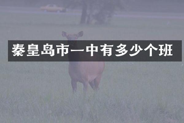 秦皇岛市一中有多少个班