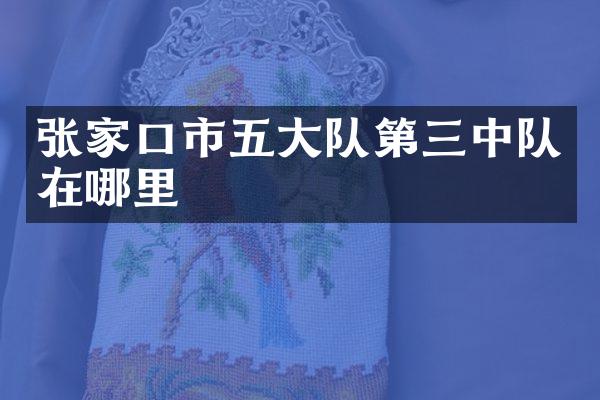 张家口市五大队第三中队在哪里