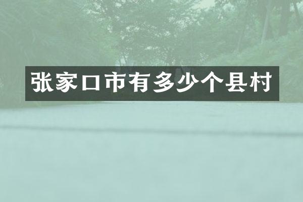 张家口市有多少个县村