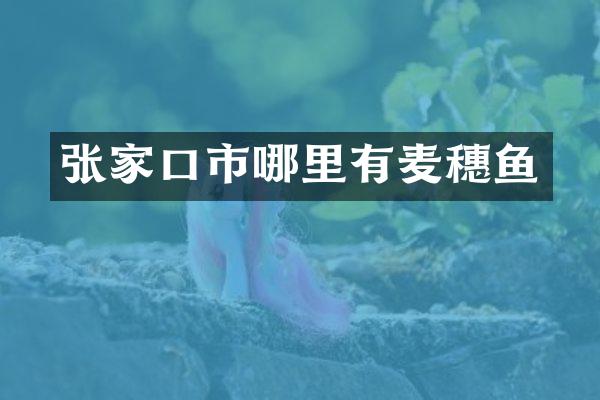 张家口市哪里有麦穗鱼