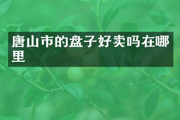 唐山市的盘子好卖吗在哪里