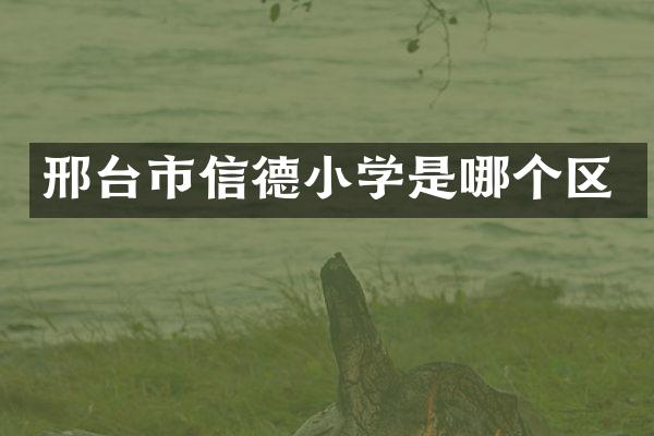 邢台市信德小学是哪个区