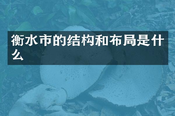 衡水市的结构和布局是什么