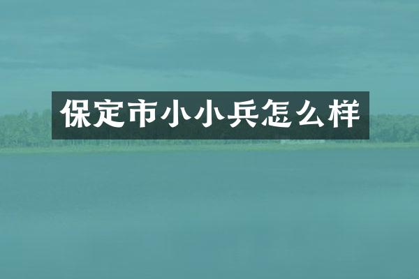 保定市小小兵怎么样
