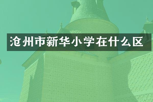 沧州市新华小学在什么区