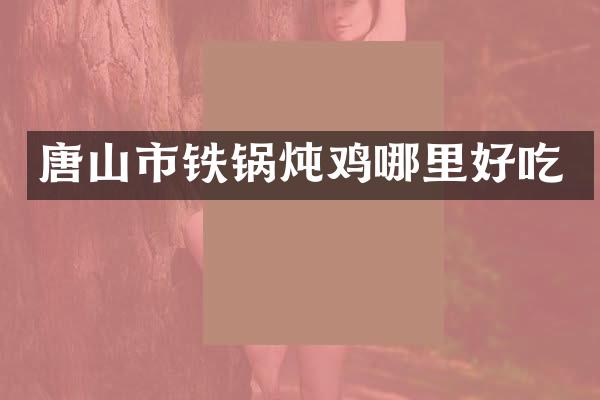 唐山市铁锅炖鸡哪里好吃